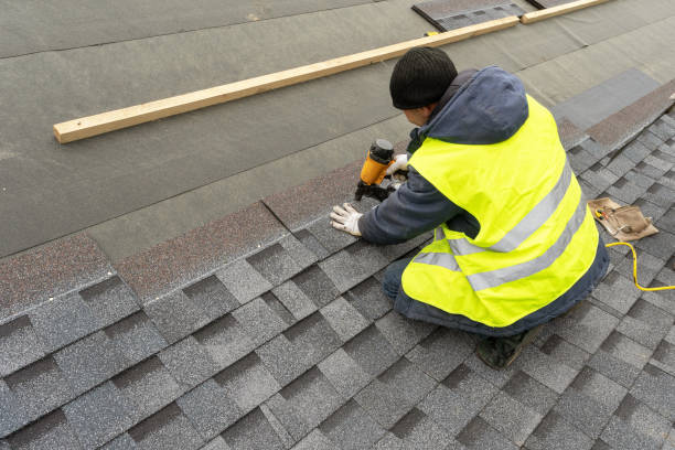 Best Roof Gutter Cleaning  in Druid Hills, GA