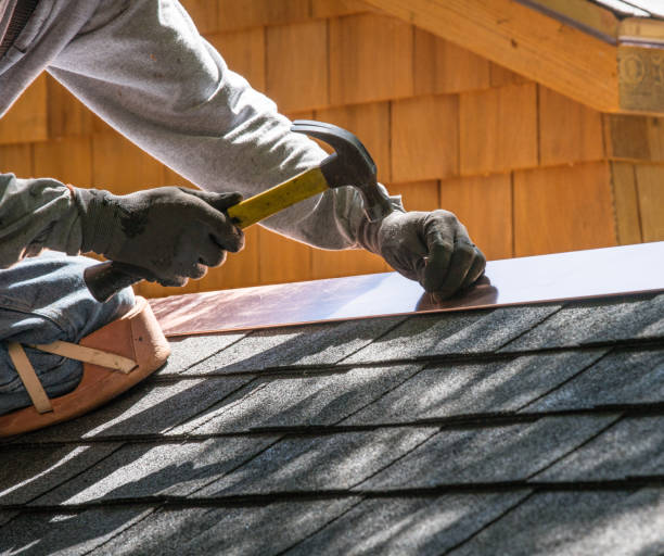 Best Metal Roofing Contractor  in Druid Hills, GA